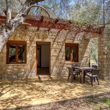 Stonehouse In Olives Apartment Ulcinj Ngoại thất bức ảnh