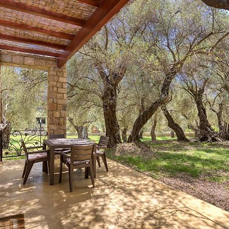 Stonehouse In Olives Apartment Ulcinj Ngoại thất bức ảnh