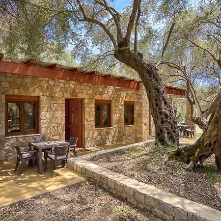 Stonehouse In Olives Apartment Ulcinj Ngoại thất bức ảnh