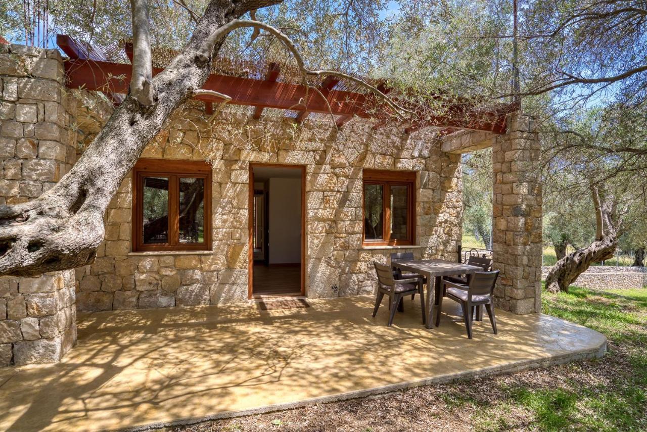 Stonehouse In Olives Apartment Ulcinj Ngoại thất bức ảnh
