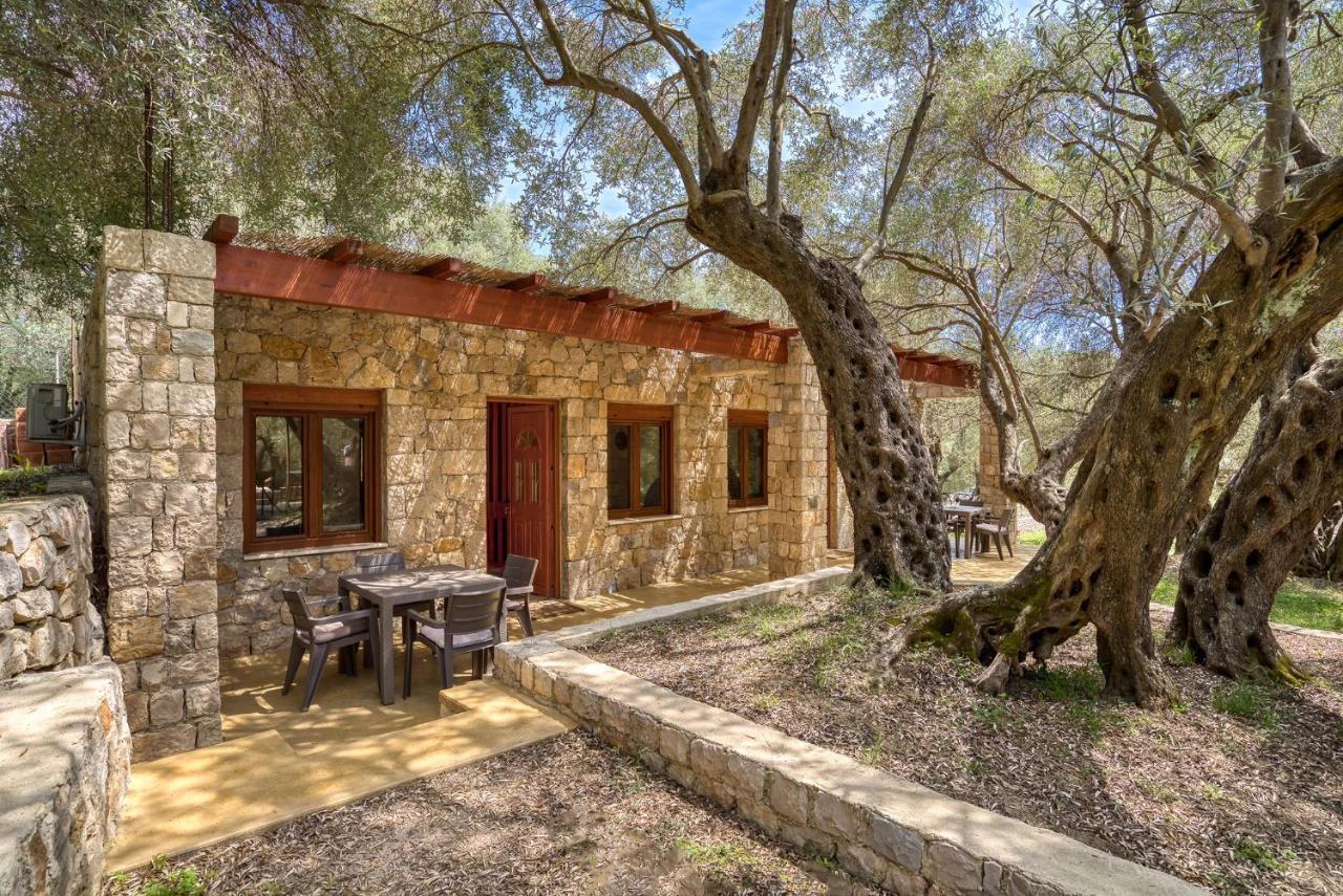 Stonehouse In Olives Apartment Ulcinj Ngoại thất bức ảnh