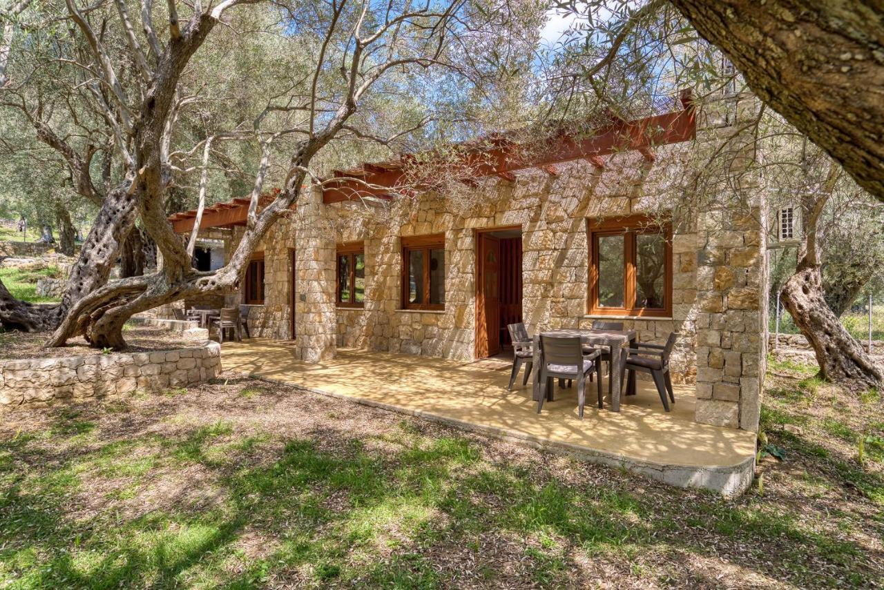 Stonehouse In Olives Apartment Ulcinj Ngoại thất bức ảnh