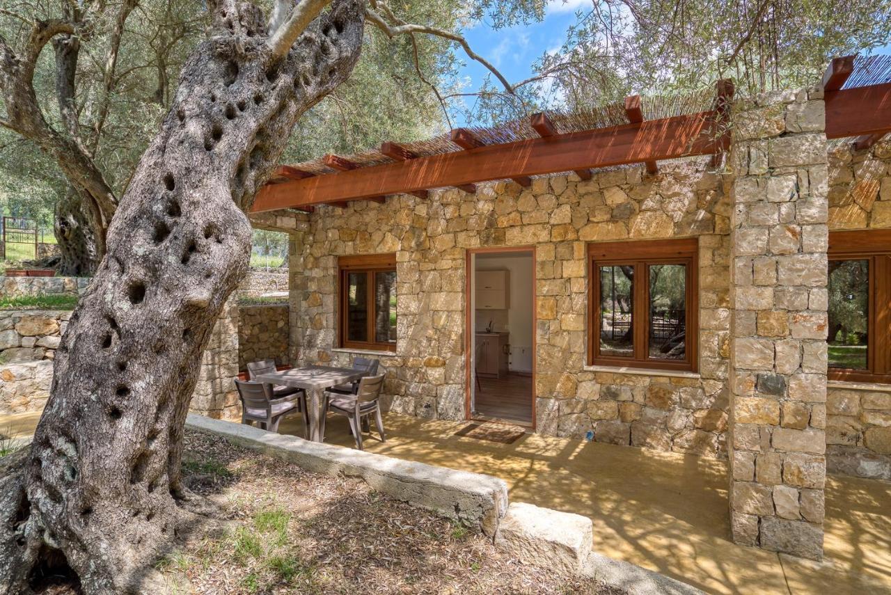 Stonehouse In Olives Apartment Ulcinj Ngoại thất bức ảnh