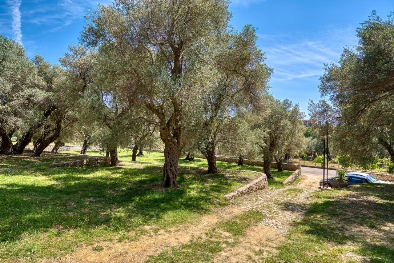 Stonehouse In Olives Apartment Ulcinj Ngoại thất bức ảnh