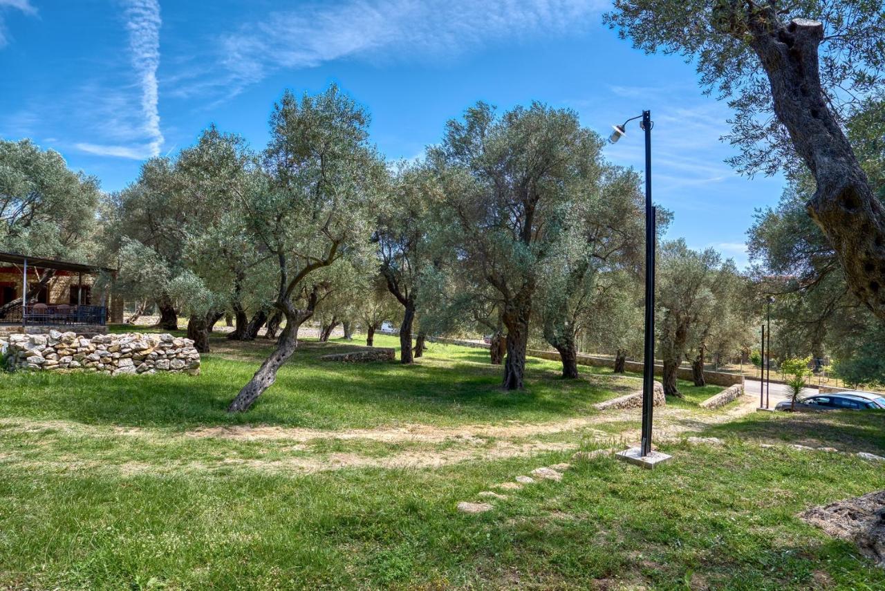 Stonehouse In Olives Apartment Ulcinj Ngoại thất bức ảnh