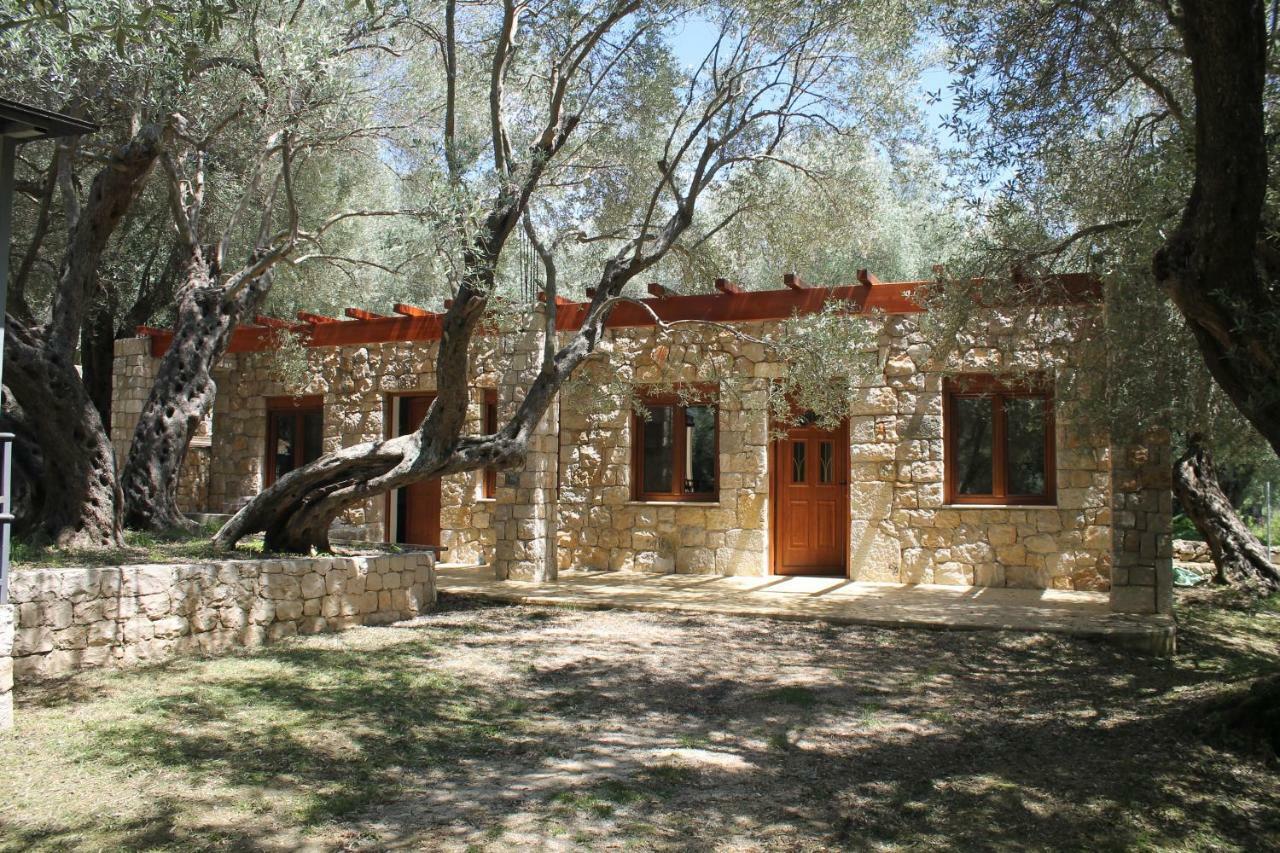 Stonehouse In Olives Apartment Ulcinj Ngoại thất bức ảnh